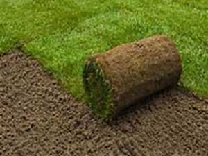 Instant Turf